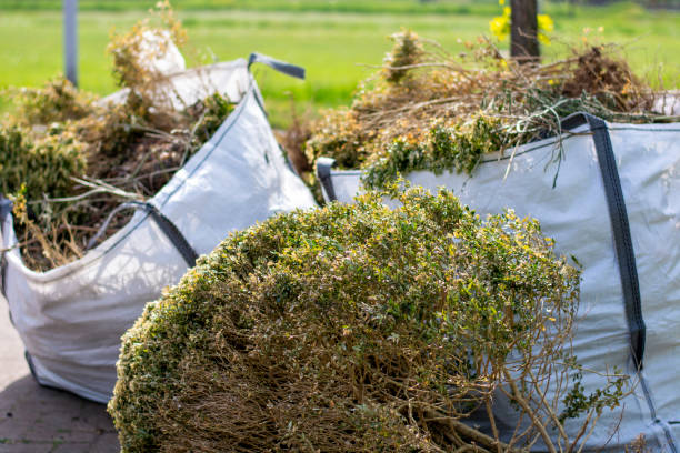 Best Professional Junk Removal  in Berino, NM
